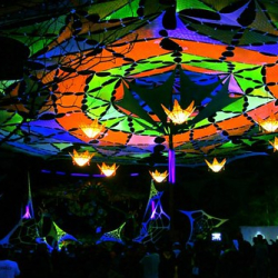 10570545_856592724352926_4893162552646257560_n 10570545_856592724352926_4893162552646257560_n • <a style="font-size:0.8em;" href="http://www.flickr.com/photos/93182493@N07/21458923301/" target="_blank">View on Flickr</a>