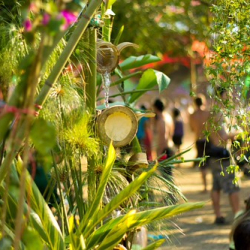 10626177_356127117877788_6026872013493369_o 10626177_356127117877788_6026872013493369_o • <a style="font-size:0.8em;" href="http://www.flickr.com/photos/93182493@N07/21263514599/" target="_blank">View on Flickr</a>