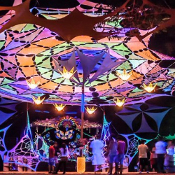 10616711_342028895955709_3729828540297926724_n 10616711_342028895955709_3729828540297926724_n • <a style="font-size:0.8em;" href="http://www.flickr.com/photos/93182493@N07/20827708144/" target="_blank">View on Flickr</a>