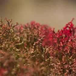 respect02 respect02 • <a style="font-size:0.8em;" href="http://www.flickr.com/photos/93182493@N07/20828152554/" target="_blank">View on Flickr</a>