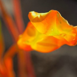 respect55 respect55 • <a style="font-size:0.8em;" href="http://www.flickr.com/photos/93182493@N07/21450842545/" target="_blank">View on Flickr</a>