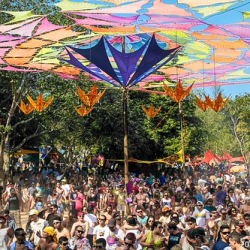 10496046_10203889385210339_141434401480445080_o 10496046_10203889385210339_141434401480445080_o • <a style="font-size:0.8em;" href="http://www.flickr.com/photos/93182493@N07/20827721294/" target="_blank">View on Flickr</a>