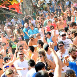 10592866_1525908667623788_4929925038320270883_n 10592866_1525908667623788_4929925038320270883_n • <a style="font-size:0.8em;" href="http://www.flickr.com/photos/93182493@N07/21424185896/" target="_blank">View on Flickr</a>