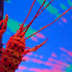 respect96 respect96 • <a style="font-size:0.8em;" href="http://www.flickr.com/photos/93182493@N07/21263000638/" target="_blank">View on Flickr</a>