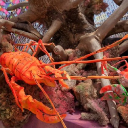 respect27 respect27 • <a style="font-size:0.8em;" href="http://www.flickr.com/photos/93182493@N07/20829747003/" target="_blank">View on Flickr</a>