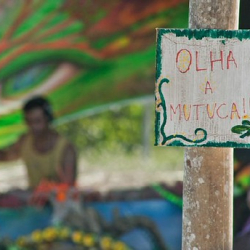 respect50 respect50 • <a style="font-size:0.8em;" href="http://www.flickr.com/photos/93182493@N07/21263954869/" target="_blank">View on Flickr</a>