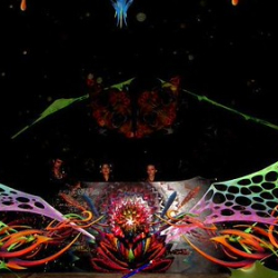 10632619_10154563279960451_5398323478319938143_n 10632619_10154563279960451_5398323478319938143_n • <a style="font-size:0.8em;" href="http://www.flickr.com/photos/93182493@N07/20827705424/" target="_blank">View on Flickr</a>