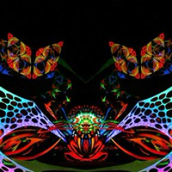 10614261_856601701018695_7759208695843088304_n 10614261_856601701018695_7759208695843088304_n • <a style="font-size:0.8em;" href="http://www.flickr.com/photos/93182493@N07/21439442002/" target="_blank">View on Flickr</a>