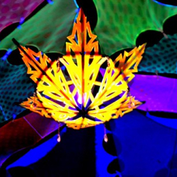 10359565_1525905470957441_2369131099373801502_n 10359565_1525905470957441_2369131099373801502_n • <a style="font-size:0.8em;" href="http://www.flickr.com/photos/93182493@N07/21439460442/" target="_blank">View on Flickr</a>