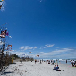 respect07 respect07 • <a style="font-size:0.8em;" href="http://www.flickr.com/photos/93182493@N07/21450849435/" target="_blank">View on Flickr</a>