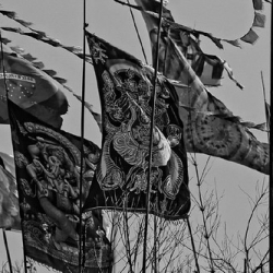 respect49 respect49 • <a style="font-size:0.8em;" href="http://www.flickr.com/photos/93182493@N07/21263955009/" target="_blank">View on Flickr</a>