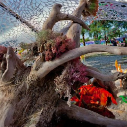 respect56 respect56 • <a style="font-size:0.8em;" href="http://www.flickr.com/photos/93182493@N07/21459357421/" target="_blank">View on Flickr</a>