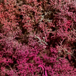 respect20 respect20 • <a style="font-size:0.8em;" href="http://www.flickr.com/photos/93182493@N07/20829747873/" target="_blank">View on Flickr</a>