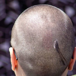 respect129 respect129 • <a style="font-size:0.8em;" href="http://www.flickr.com/photos/93182493@N07/21450830125/" target="_blank">View on Flickr</a>