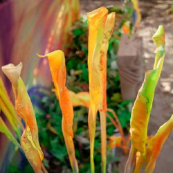 respect60 respect60 • <a style="font-size:0.8em;" href="http://www.flickr.com/photos/93182493@N07/21424614936/" target="_blank">View on Flickr</a>