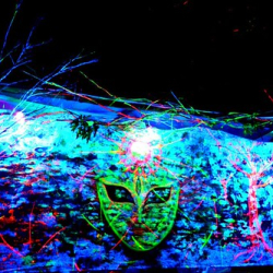 10570517_1525905614290760_6478660380969210479_n 10570517_1525905614290760_6478660380969210479_n • <a style="font-size:0.8em;" href="http://www.flickr.com/photos/93182493@N07/21439448132/" target="_blank">View on Flickr</a>