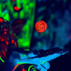 1912015_856587687686763_6318640976494864428_n 1912015_856587687686763_6318640976494864428_n • <a style="font-size:0.8em;" href="http://www.flickr.com/photos/93182493@N07/21439461882/" target="_blank">View on Flickr</a>