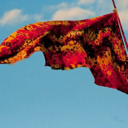 respect75 respect75 • <a style="font-size:0.8em;" href="http://www.flickr.com/photos/93182493@N07/21263006098/" target="_blank">View on Flickr</a>