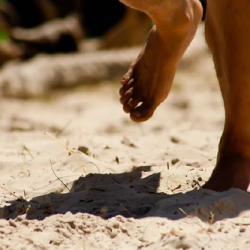 respect157 respect157 • <a style="font-size:0.8em;" href="http://www.flickr.com/photos/93182493@N07/21262770700/" target="_blank">View on Flickr</a>