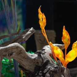 respect22 respect22 • <a style="font-size:0.8em;" href="http://www.flickr.com/photos/93182493@N07/20829747673/" target="_blank">View on Flickr</a>