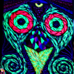 10479059_642136152551302_6964035357430230984_n 10479059_642136152551302_6964035357430230984_n • <a style="font-size:0.8em;" href="http://www.flickr.com/photos/93182493@N07/21262590868/" target="_blank">View on Flickr</a>