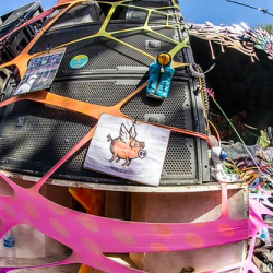 10550115_10203896501188234_3703152585038688205_o 10550115_10203896501188234_3703152585038688205_o • <a style="font-size:0.8em;" href="http://www.flickr.com/photos/93182493@N07/21263525359/" target="_blank">View on Flickr</a>