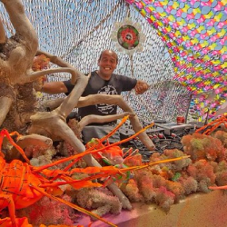 respect23 respect23 • <a style="font-size:0.8em;" href="http://www.flickr.com/photos/93182493@N07/21263958839/" target="_blank">View on Flickr</a>