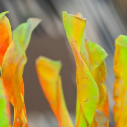 respect54 respect54 • <a style="font-size:0.8em;" href="http://www.flickr.com/photos/93182493@N07/21450842675/" target="_blank">View on Flickr</a>