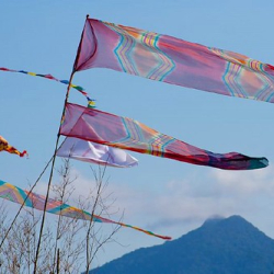 respect48 respect48 • <a style="font-size:0.8em;" href="http://www.flickr.com/photos/93182493@N07/20828145994/" target="_blank">View on Flickr</a>