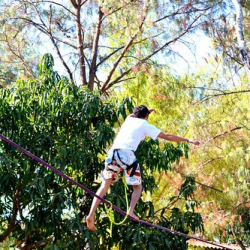 10376138_1525906514290670_3242476535229854830_n 10376138_1525906514290670_3242476535229854830_n • <a style="font-size:0.8em;" href="http://www.flickr.com/photos/93182493@N07/21263534819/" target="_blank">View on Flickr</a>