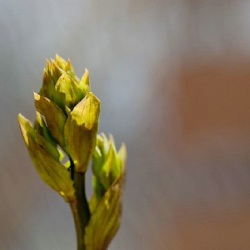 respect19 respect19 • <a style="font-size:0.8em;" href="http://www.flickr.com/photos/93182493@N07/21424620146/" target="_blank">View on Flickr</a>