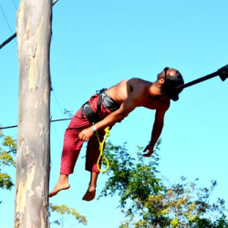 10410356_1525906764290645_6608476332681073890_n 10410356_1525906764290645_6608476332681073890_n • <a style="font-size:0.8em;" href="http://www.flickr.com/photos/93182493@N07/21458934621/" target="_blank">View on Flickr</a>