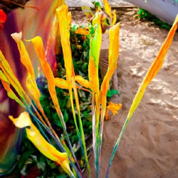 respect61 respect61 • <a style="font-size:0.8em;" href="http://www.flickr.com/photos/93182493@N07/21439879792/" target="_blank">View on Flickr</a>