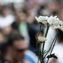 • <a style="font-size:0.8em;" href="http://www.flickr.com/photos/93182493@N07/16592445881/" target="_blank">View on Flickr</a>