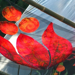 • <a style="font-size:0.8em;" href="http://www.flickr.com/photos/93182493@N07/16406611530/" target="_blank">View on Flickr</a>