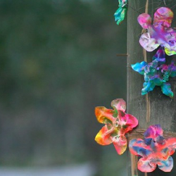 • <a style="font-size:0.8em;" href="http://www.flickr.com/photos/93182493@N07/15971469454/" target="_blank">View on Flickr</a>