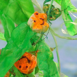 • <a style="font-size:0.8em;" href="http://www.flickr.com/photos/93182493@N07/16406611270/" target="_blank">View on Flickr</a>