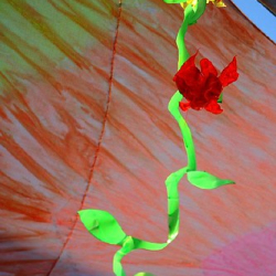 • <a style="font-size:0.8em;" href="http://www.flickr.com/photos/93182493@N07/16593627375/" target="_blank">View on Flickr</a>