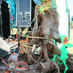 • <a style="font-size:0.8em;" href="http://www.flickr.com/photos/93182493@N07/15971589794/" target="_blank">View on Flickr</a>