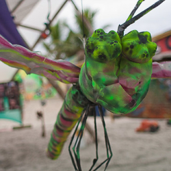 • <a style="font-size:0.8em;" href="http://www.flickr.com/photos/93182493@N07/15975555113/" target="_blank">View on Flickr</a>