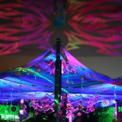 • <a style="font-size:0.8em;" href="http://www.flickr.com/photos/93182493@N07/16567648026/" target="_blank">View on Flickr</a>