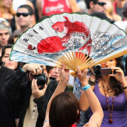 • <a style="font-size:0.8em;" href="http://www.flickr.com/photos/93182493@N07/15973857083/" target="_blank">View on Flickr</a>