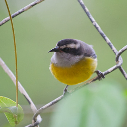 • <a style="font-size:0.8em;" href="http://www.flickr.com/photos/93182493@N07/16594155161/" target="_blank">View on Flickr</a>