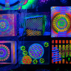 • <a style="font-size:0.8em;" href="http://www.flickr.com/photos/93182493@N07/16408276700/" target="_blank">View on Flickr</a>