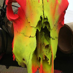 • <a style="font-size:0.8em;" href="http://www.flickr.com/photos/93182493@N07/16407778279/" target="_blank">View on Flickr</a>