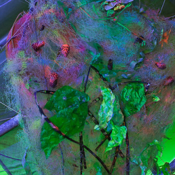 • <a style="font-size:0.8em;" href="http://www.flickr.com/photos/93182493@N07/16594685362/" target="_blank">View on Flickr</a>