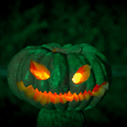 • <a style="font-size:0.8em;" href="http://www.flickr.com/photos/93182493@N07/15973161894/" target="_blank">View on Flickr</a>