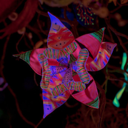 • <a style="font-size:0.8em;" href="http://www.flickr.com/photos/93182493@N07/16409771459/" target="_blank">View on Flickr</a>