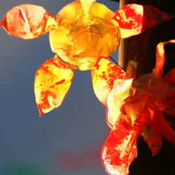 • <a style="font-size:0.8em;" href="http://www.flickr.com/photos/93182493@N07/16567637126/" target="_blank">View on Flickr</a>