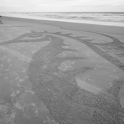 • <a style="font-size:0.8em;" href="http://www.flickr.com/photos/93182493@N07/16408127518/" target="_blank">View on Flickr</a>